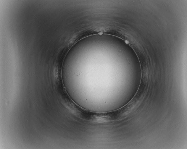 X0000116260268200912071028