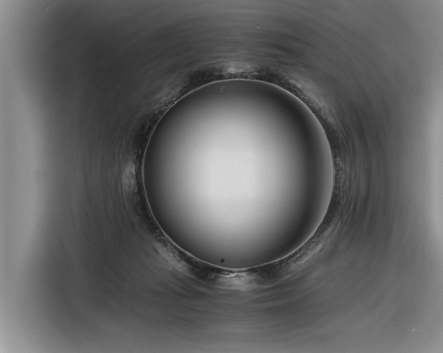 X0000116260269200912071028