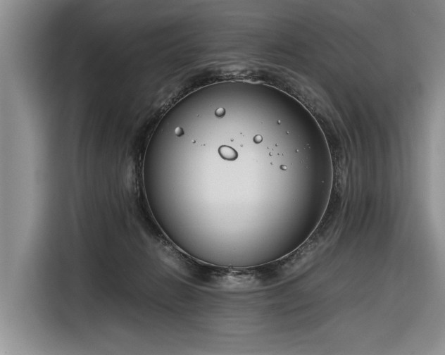X0000116260270200912071028