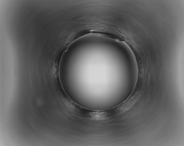 X0000116260273200912071028