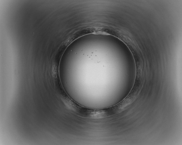 X0000116260274200912071028