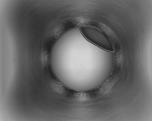 X0000116260276200912071028