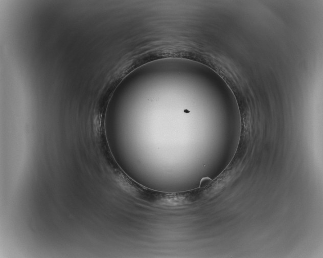 X0000116260278200912071028