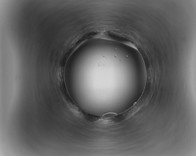 X0000116260280200912071028