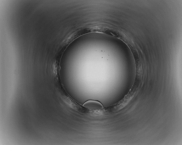 X0000116260282200912071028