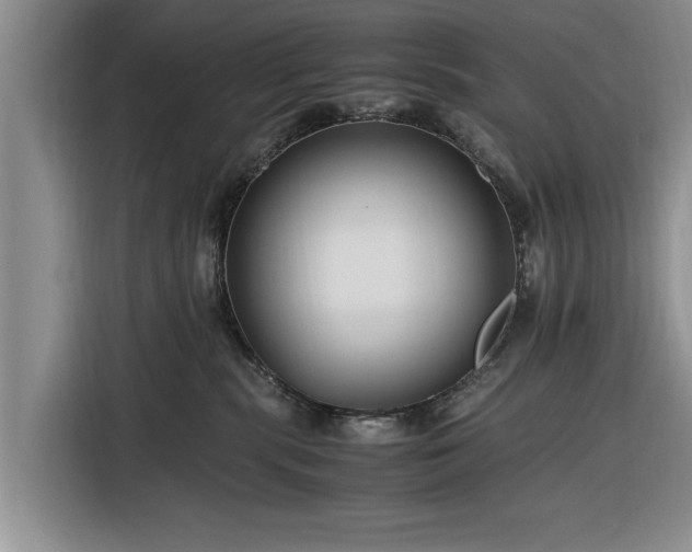 X0000116260283200912071028