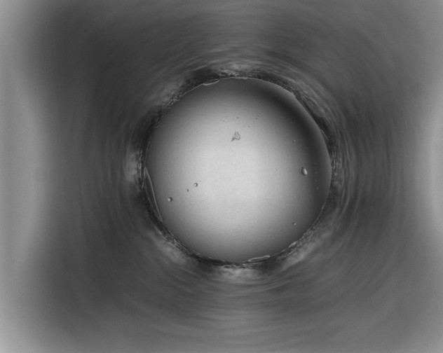 X0000116260284200912071028