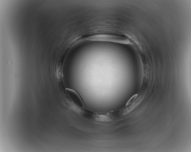 X0000116260285200912071028
