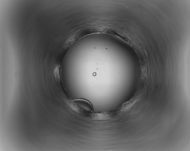 X0000116260286200912071028