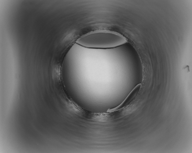 X0000116260288200912071028