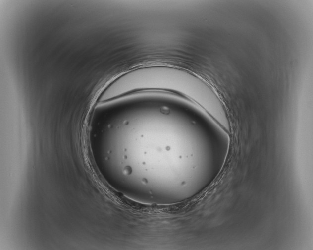 X0000116260289200912071028