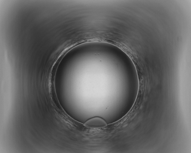 X0000116260290200912071028