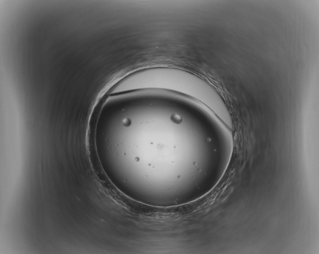 X0000116260292200912071028