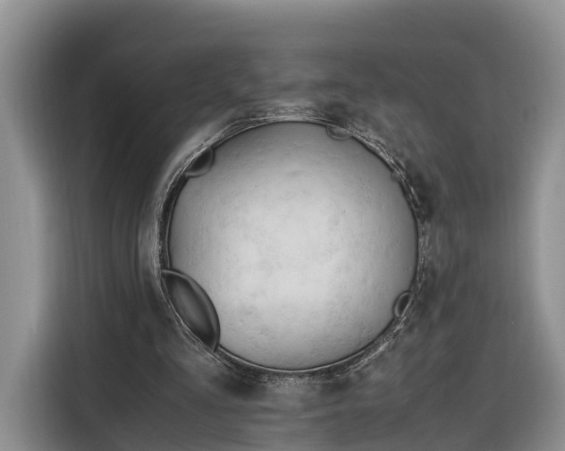 X0000116260293200912071028