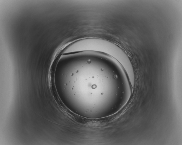 X0000116260294200912071028