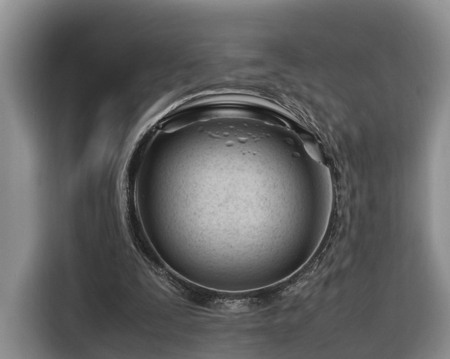 X0000116260295200912071028