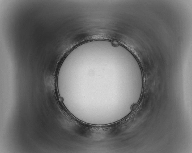 X0000116260297200912071028