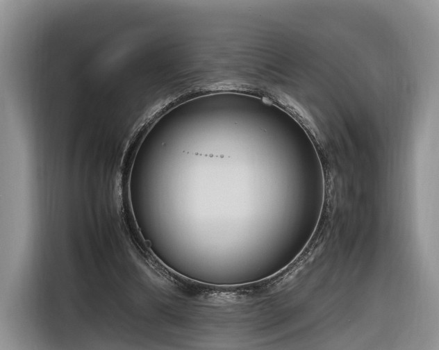 X0000116260298200912071028