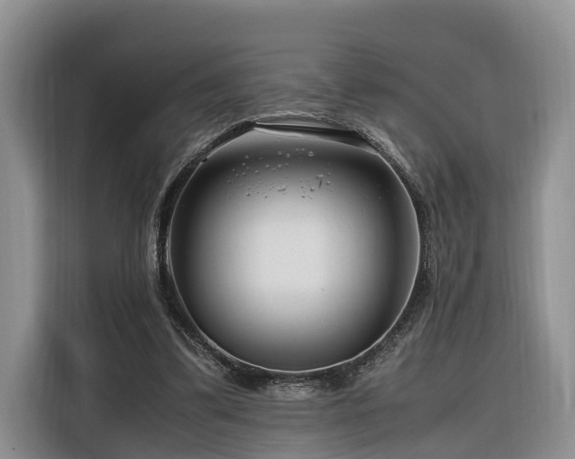 X0000116260299200912071028