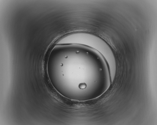 X0000116260300200912071028