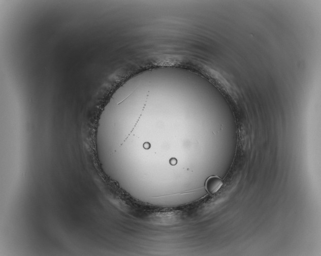 X0000116260307200912071027