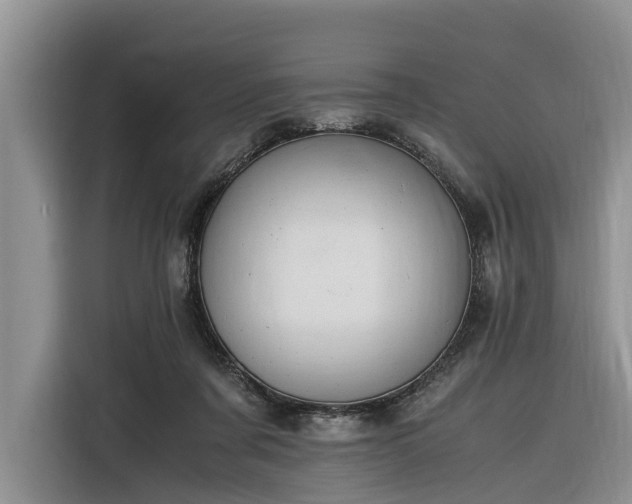 X0000116260311200912071027