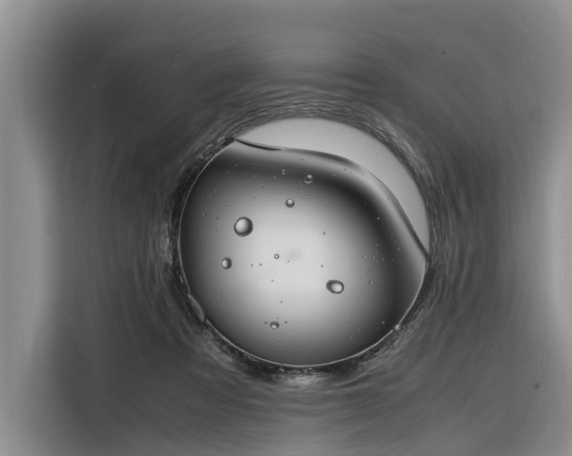 X0000116260313200912071027