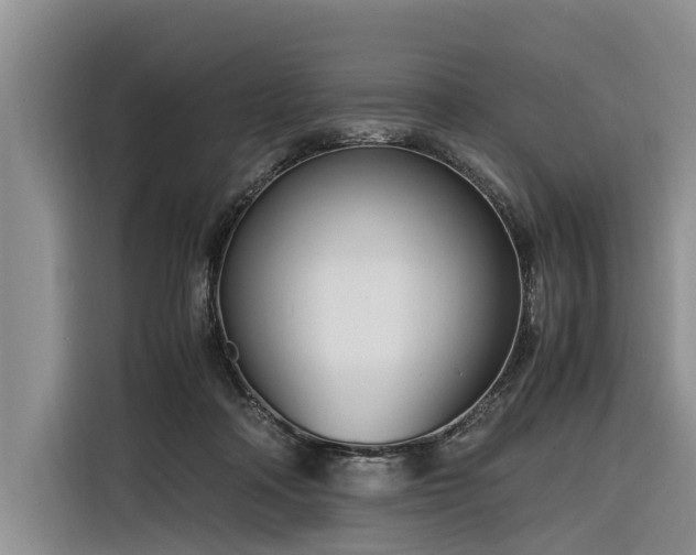 X0000116260314200912071027