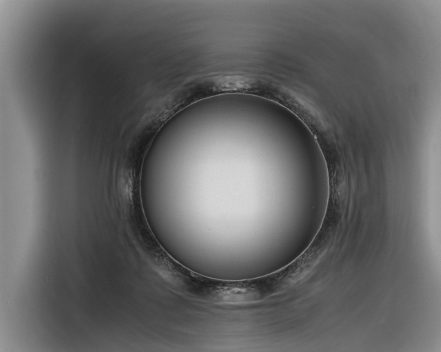 X0000116260315200912071027