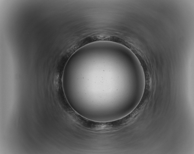 X0000116260319200912071027