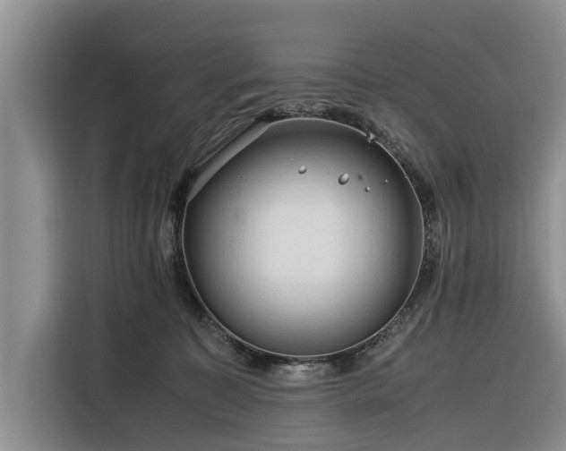 X0000116260323200912071027