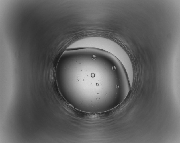 X0000116260325200912071027