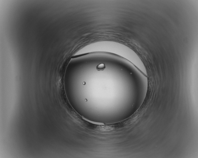 X0000116260327200912071027