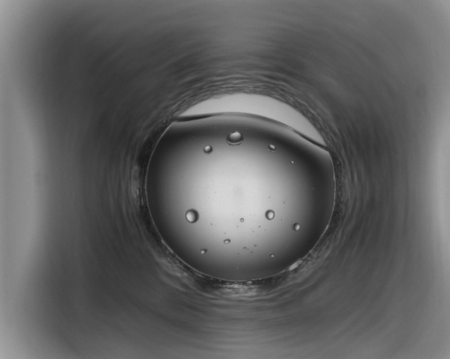 X0000116260328200912071027