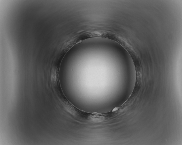 X0000116260331200912071027