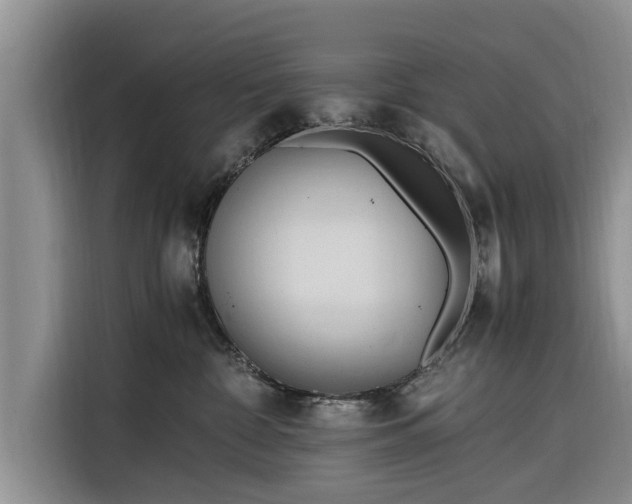 X0000116260332200912071027