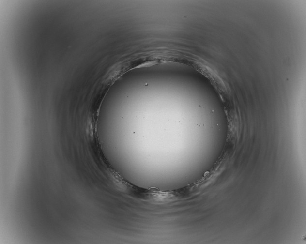X0000116260333200912071027