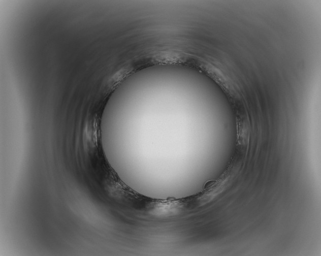 X0000116260334200912071027