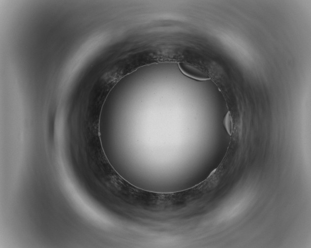 X0000116260335200912071027