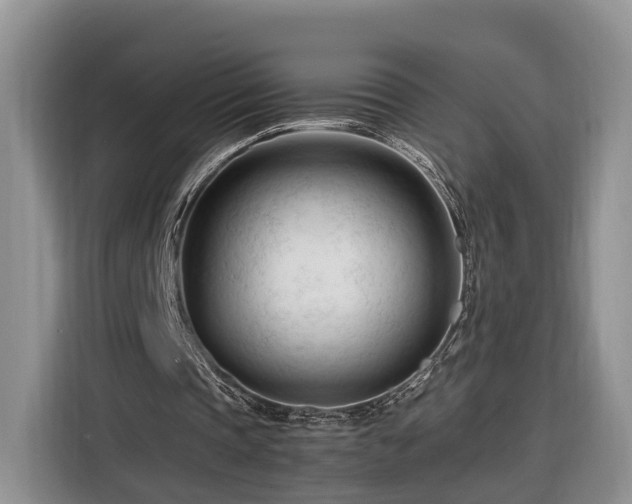 X0000116260337200912071026
