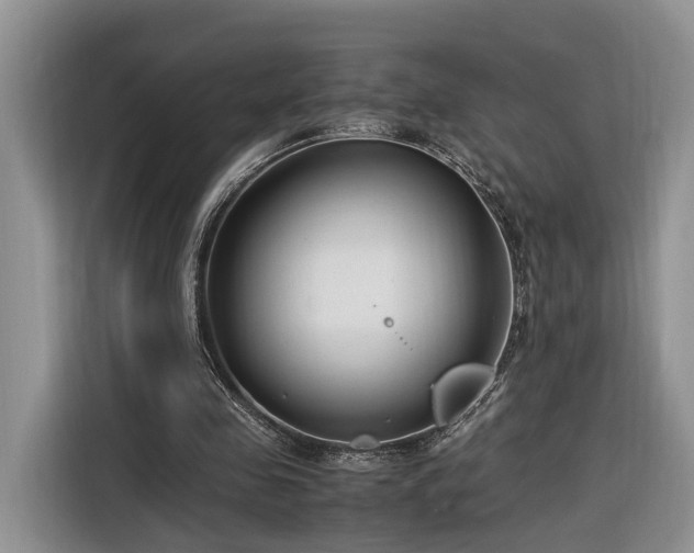 X0000116260341200912071027