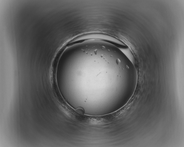 X0000116260346200912071027