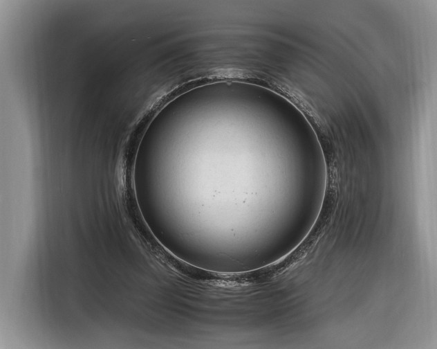X0000116260347200912071027