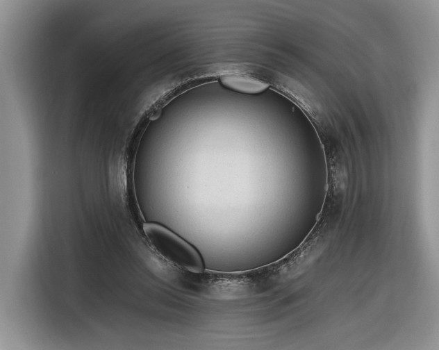 X0000116260350200912071027