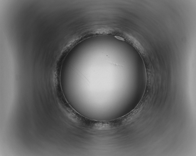 X0000116260354200912071027