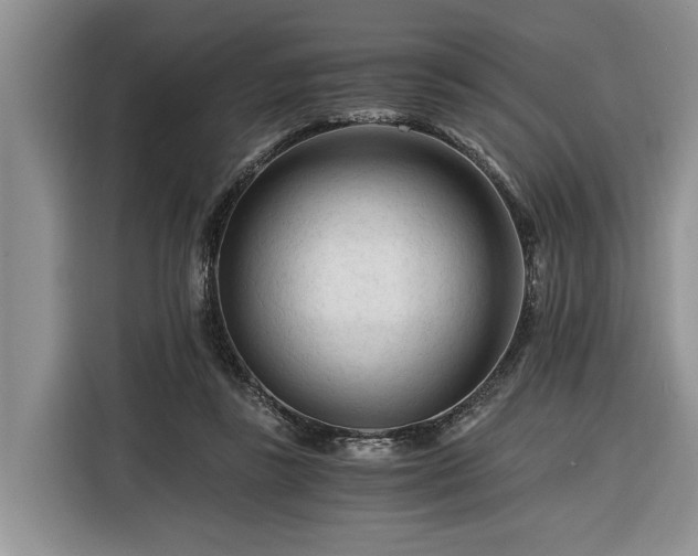 X0000116260355200912071027