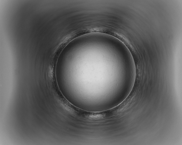 X0000116260357200912071027