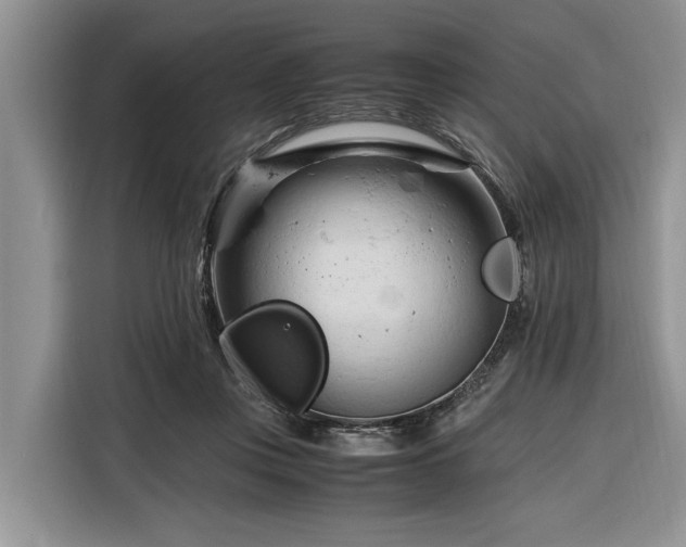 X0000116260359200912071027