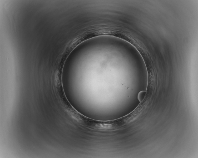 X0000116260361200912071027
