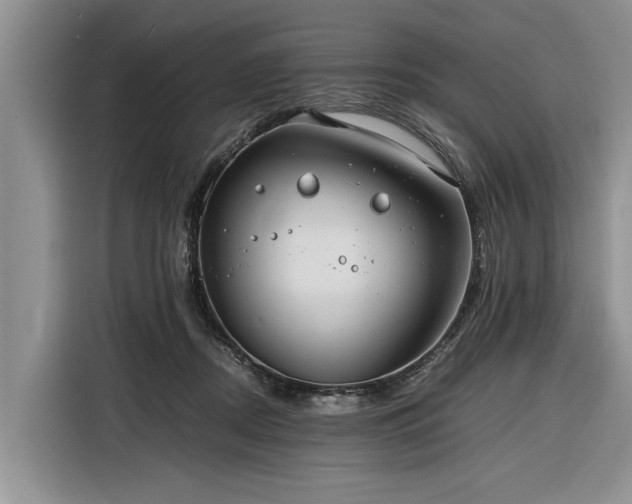 X0000116260362200912071027
